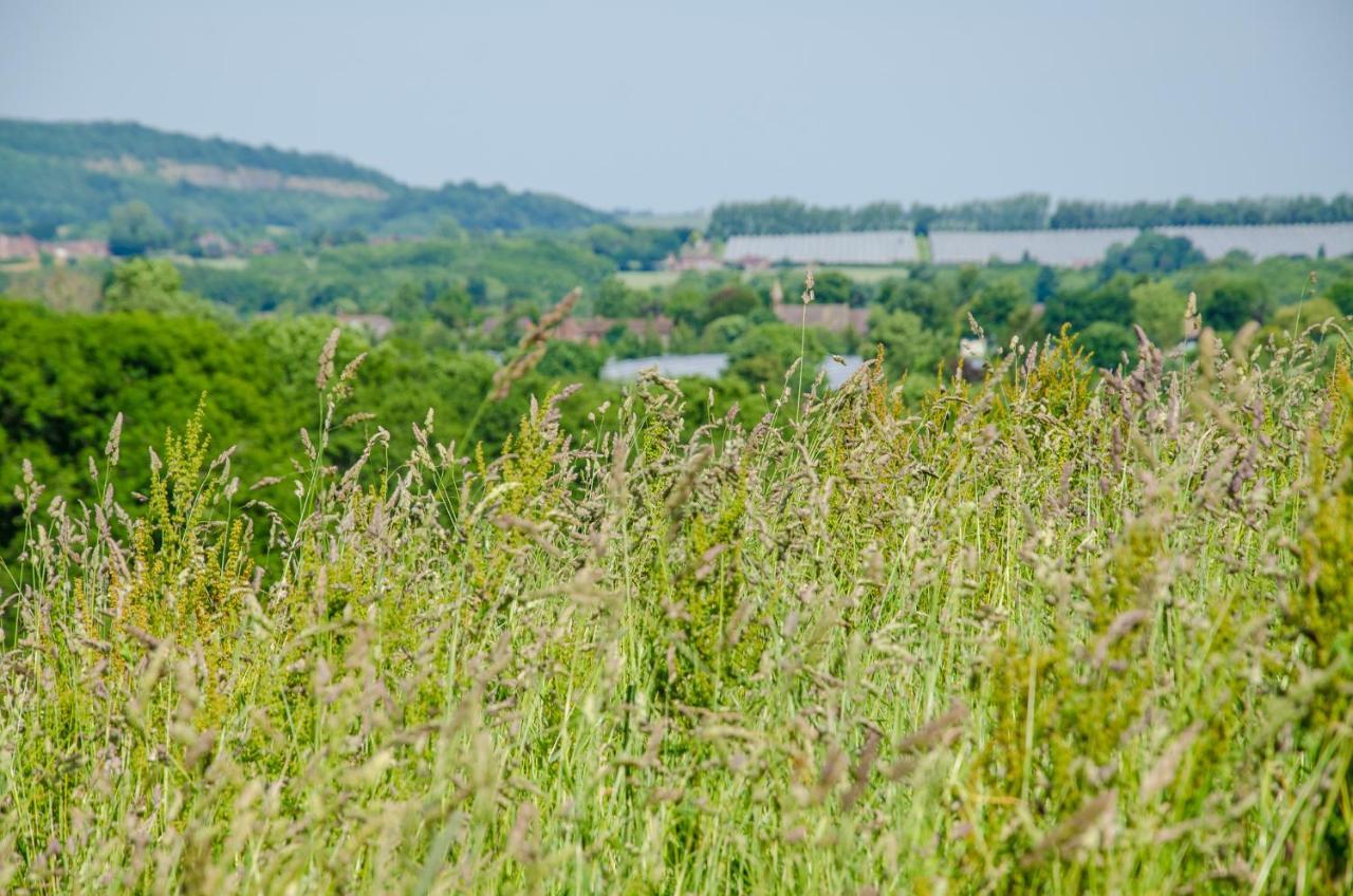 Appartamento Ashwood Shepherd Hut -Ockeridge Rural Retreats Worcester Esterno foto